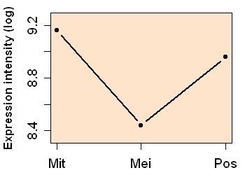 plot image