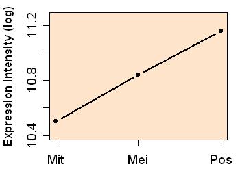 plot image