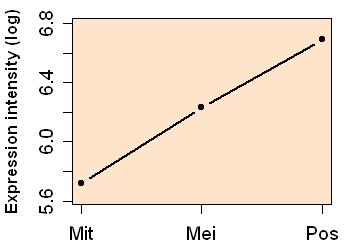 plot image