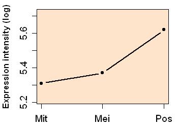 plot image