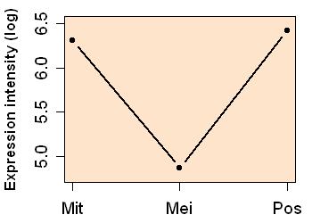 plot image