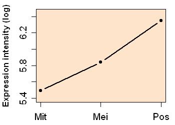 plot image