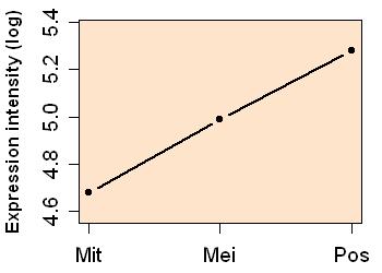 plot image