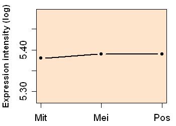 plot image