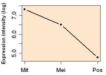 plot image