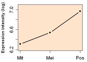 plot image