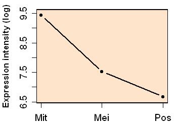 plot image