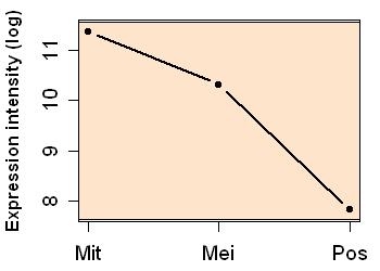 plot image