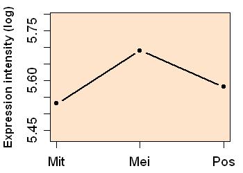 plot image