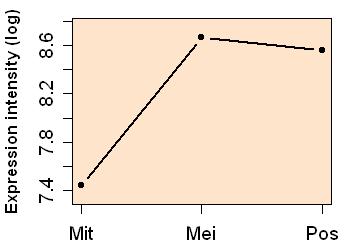 plot image