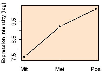 plot image