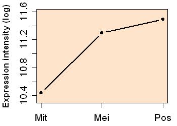 plot image