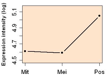 plot image