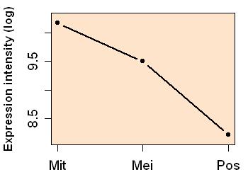 plot image