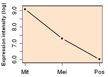 plot image