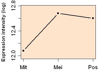 plot image