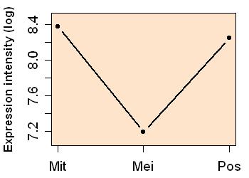 plot image