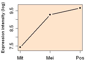 plot image