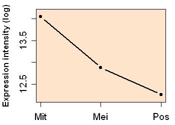 plot image