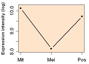 plot image