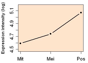 plot image