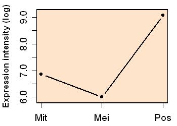 plot image