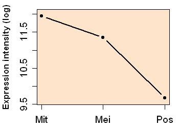 plot image