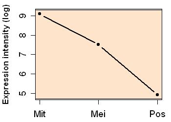 plot image