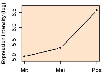 plot image