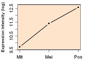 plot image