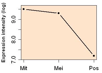 plot image