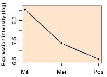 plot image