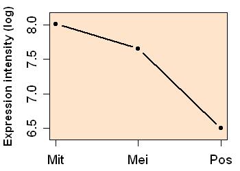 plot image