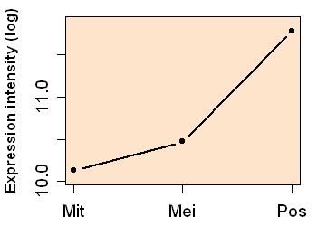 plot image