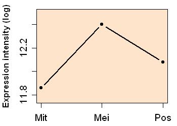 plot image