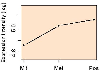 plot image