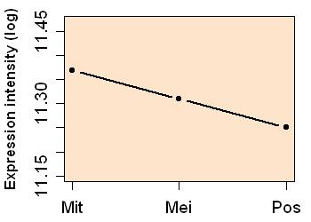 plot image