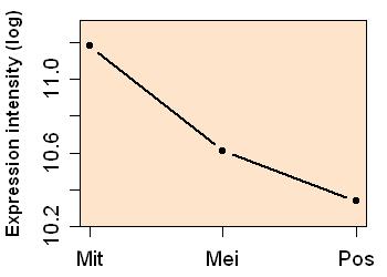 plot image