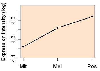 plot image