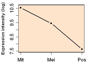 plot image