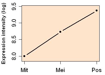 plot image