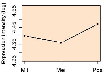 plot image