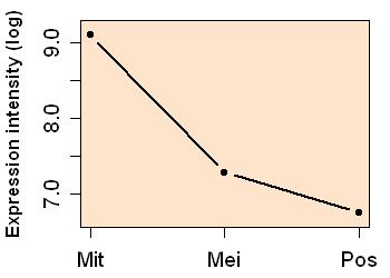 plot image