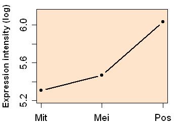 plot image