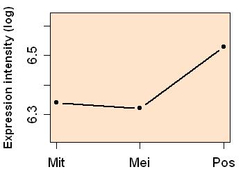 plot image