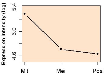 plot image