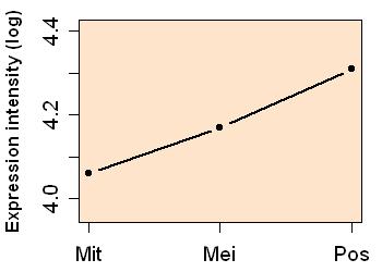 plot image