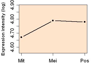 plot image