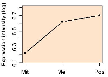 plot image