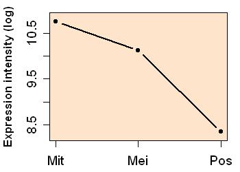 plot image